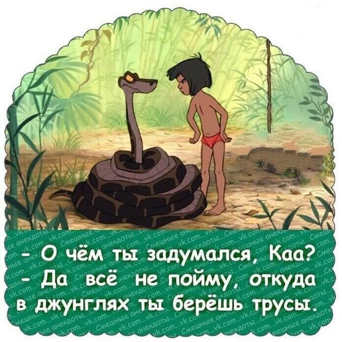 - О чём ты задумался, Каа? - Да всё не пойму, откуда в джунглях