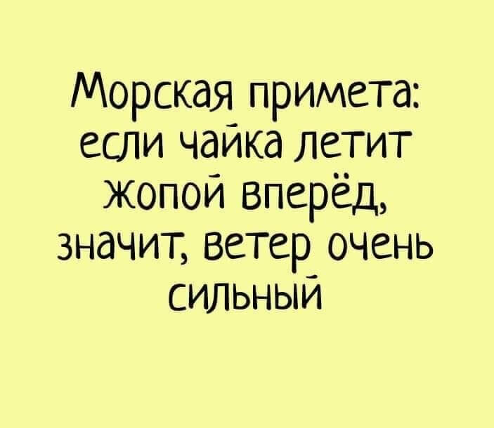 Морская примета: если чайка летит жопой вперёд, значит