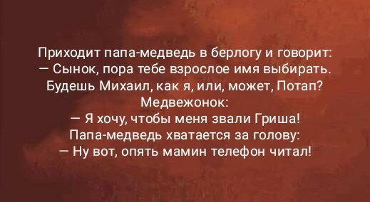 Приходит папа-медведь в берлогу и говорит: — Сынок