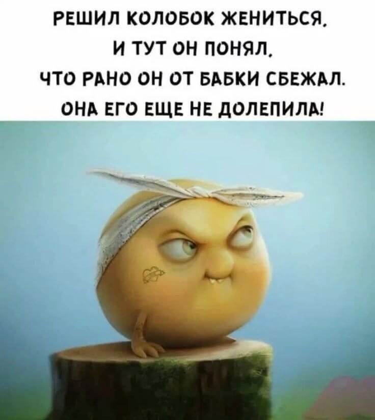 РЕШИЛ КОЛОБОК ЖЕНИТЬСЯ, И ТУТ ОН ПОНЯЛ, ЧТО РАНО ОН ОТ БАБКИ СБЕЖАЛ