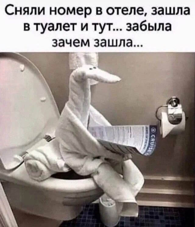 Сняли номер в отеле, зашла в туалет и тут... забыла зачем зашла...